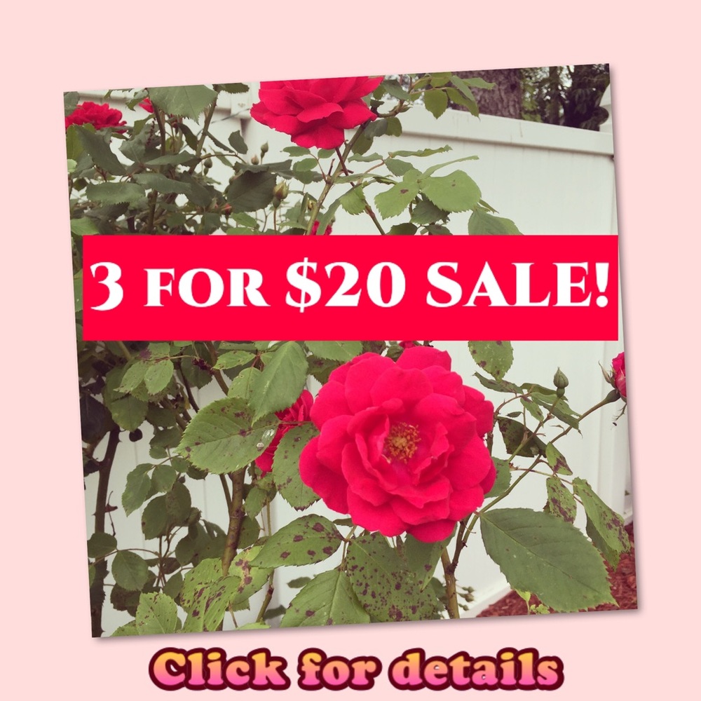 3 for $20 SALE!